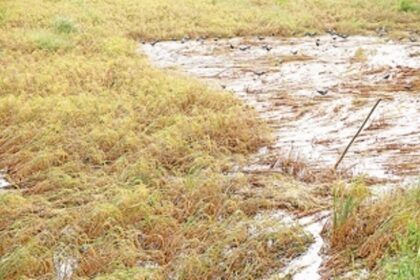 Govt estimates  farmers'  losses to Rs 1 cr