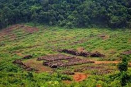 Govt fails to give assurances on scrapping linear projects