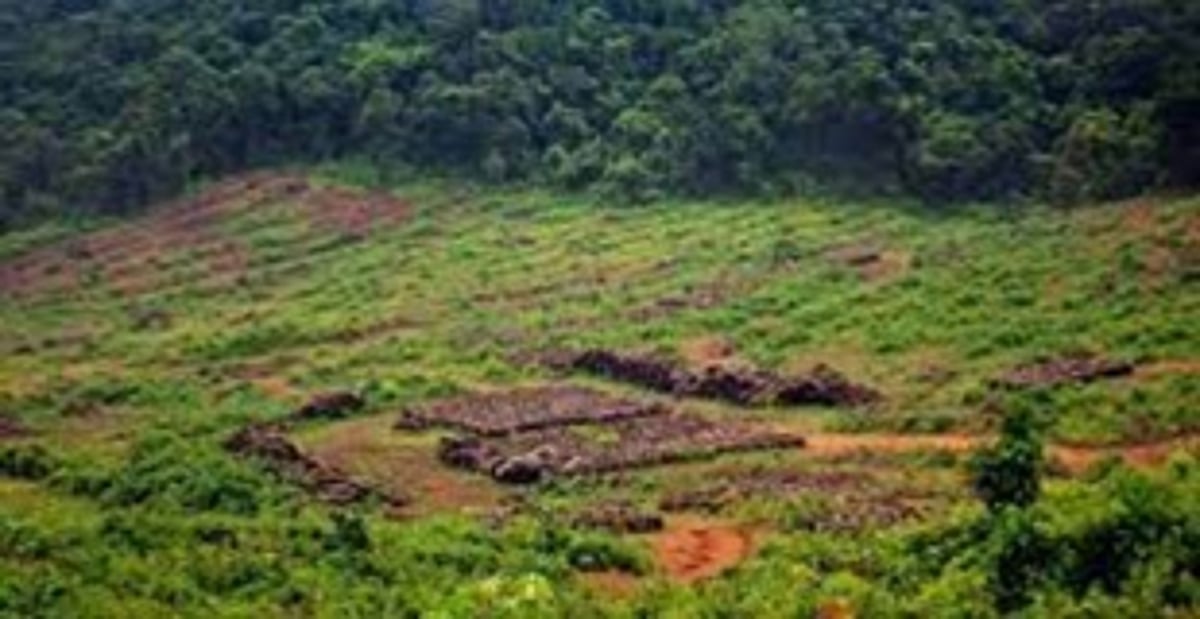 Govt fails to give assurances on scrapping linear projects