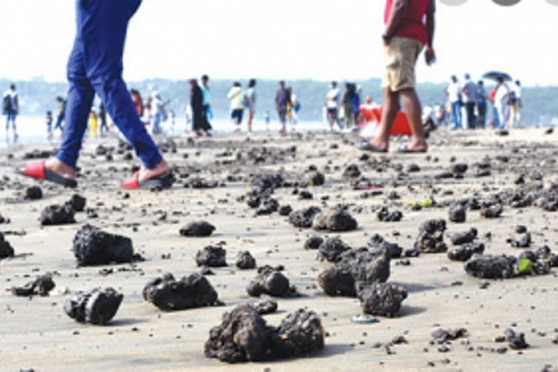 Govt has started taking action against rise in tarballs across beaches, assures Cabral