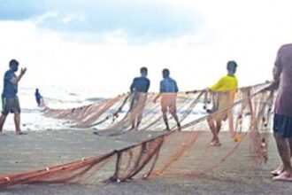 Govt imposes annual 61-day fishing ban from June 1