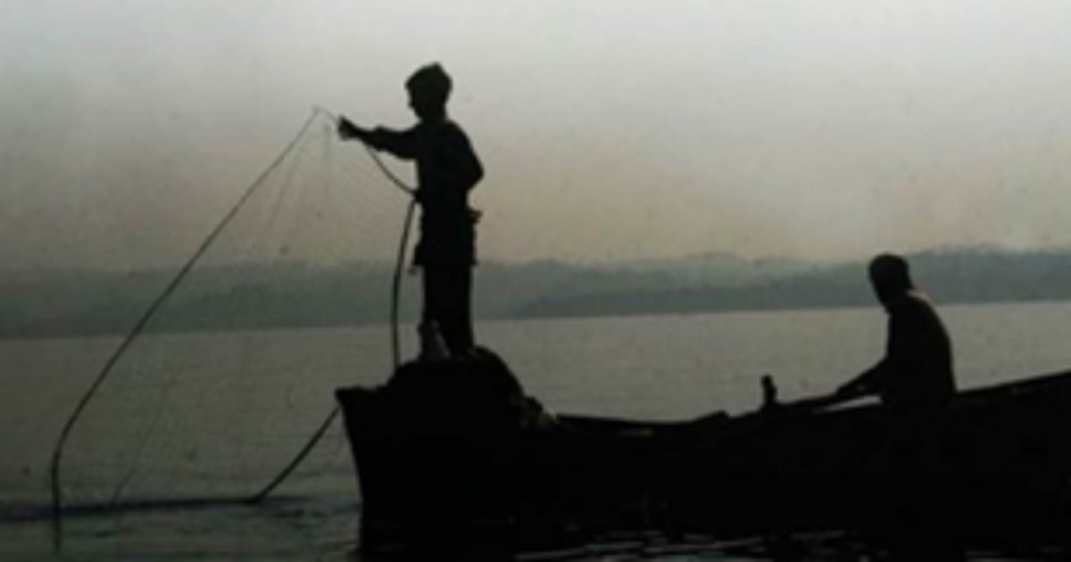 Govt launches financial aid for registered fish vendors