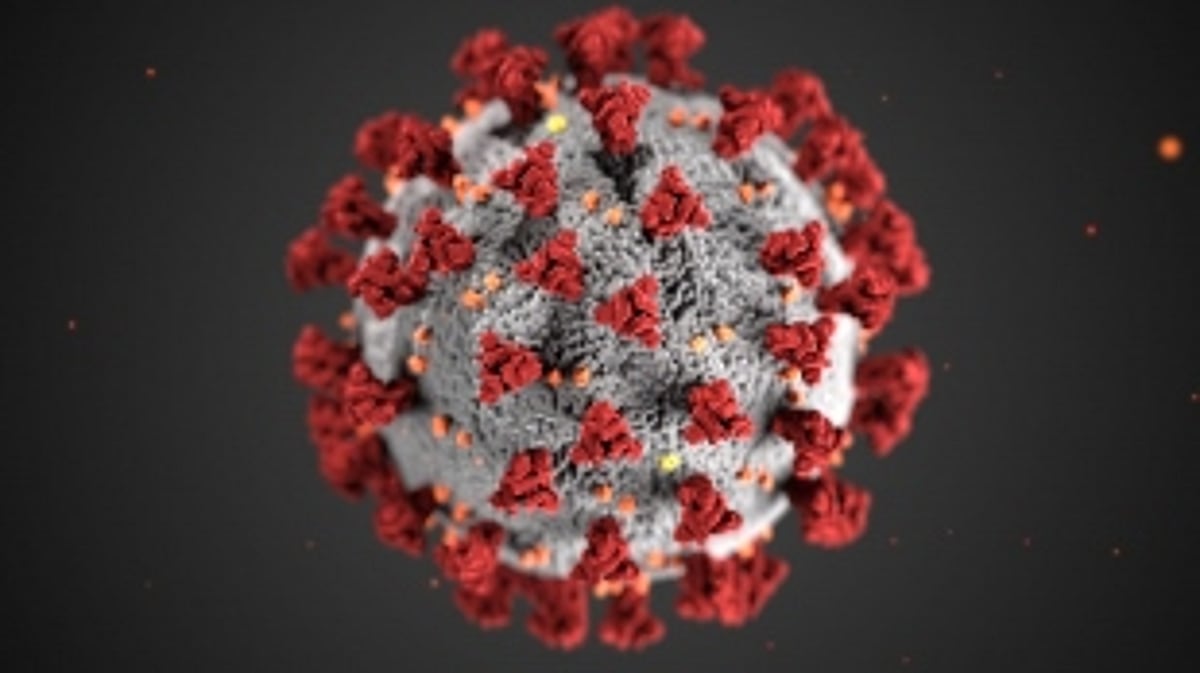 Govt lifts COVID restrictions  as pandemic wanes