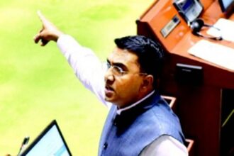 Govt mulls mandatory registration for bouncers/personal bodyguards