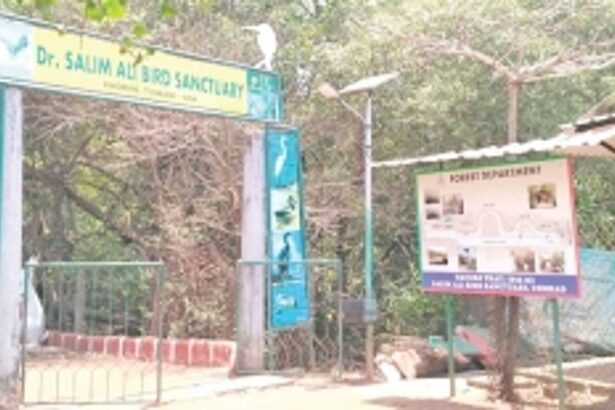 Govt nominates Raia, Carambolim lakes,  Dr Salim Ali Bird Sanctuary as wetlands