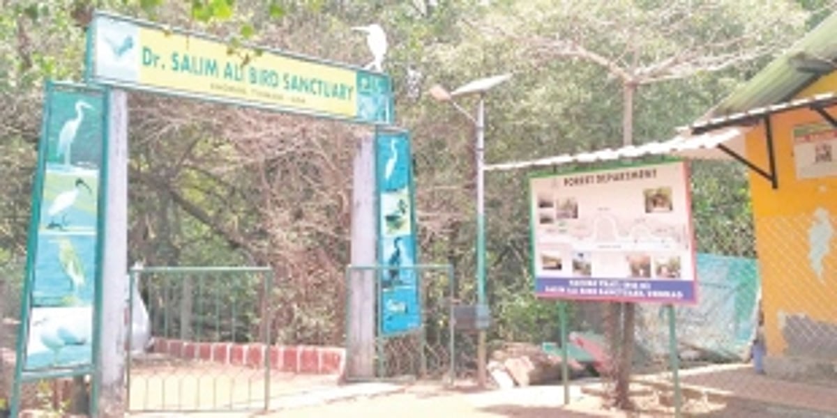 Govt nominates Raia, Carambolim lakes,  Dr Salim Ali Bird Sanctuary as wetlands