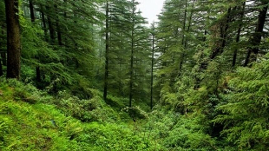 Govt notifies 45.51 lakh square metres area across Goa as private forest 1 Govt notifies 45.51 lakh square metres area across Goa as private forest