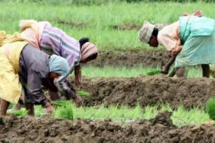 Govt offers sops for farming, fishing biz