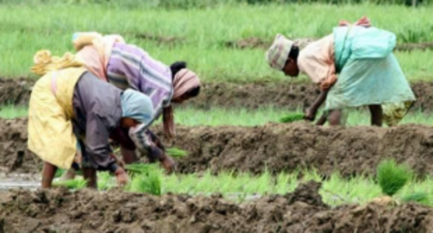 Govt offers sops for farming, fishing biz