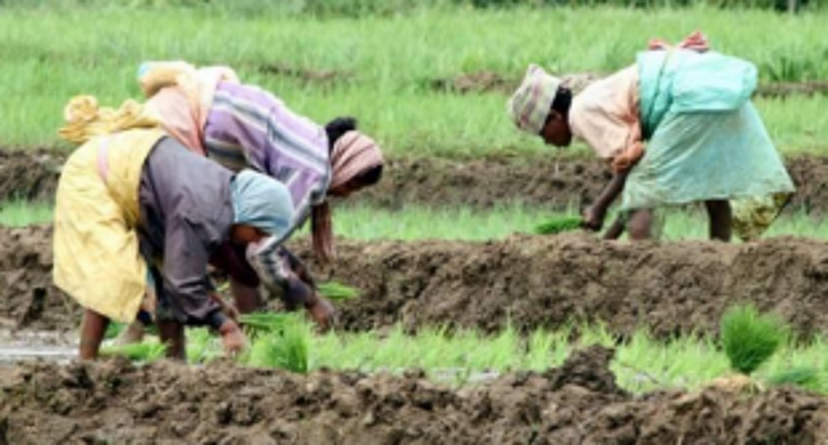 Govt offers sops for farming, fishing biz