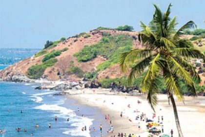 Govt paints a  ROSY picture  of State's ECONOMY