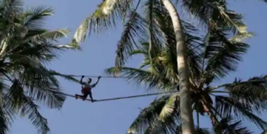 Govt re-forms   Toddy   Tappers Board