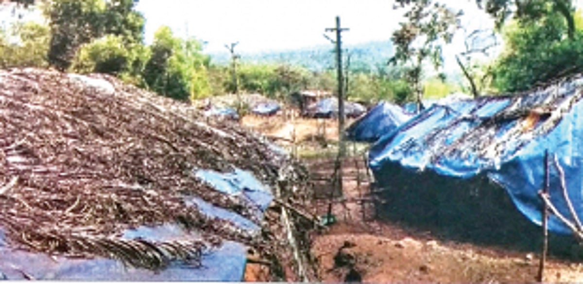 Govt relief pours in as Vanarmare tribe wishes for a permanent shelter