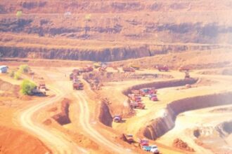 Govt slammed for using erstwhile mining lease holders’ data to determine quality, quantity of iron ore