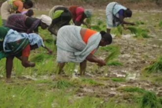 Govt ties up with Postal dept to enroll farmers