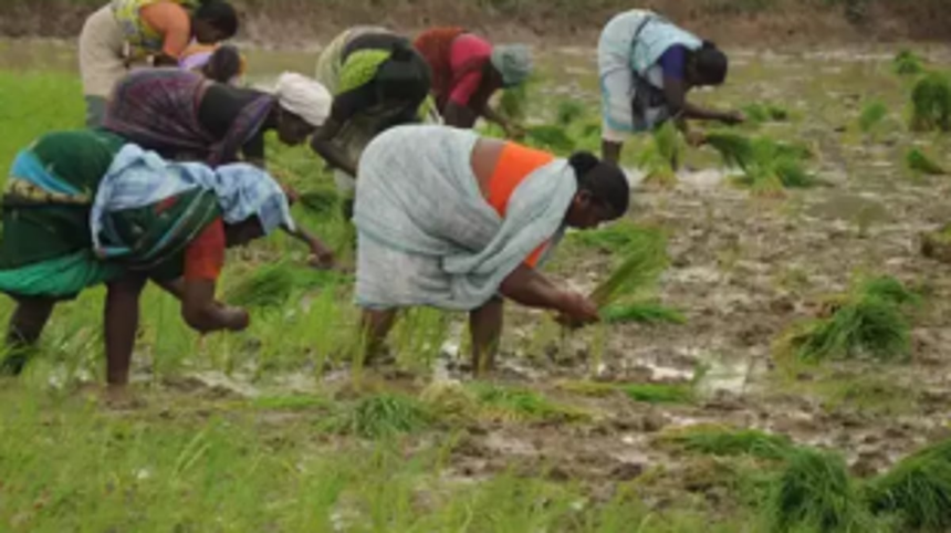 Govt ties up with Postal dept to enroll farmers