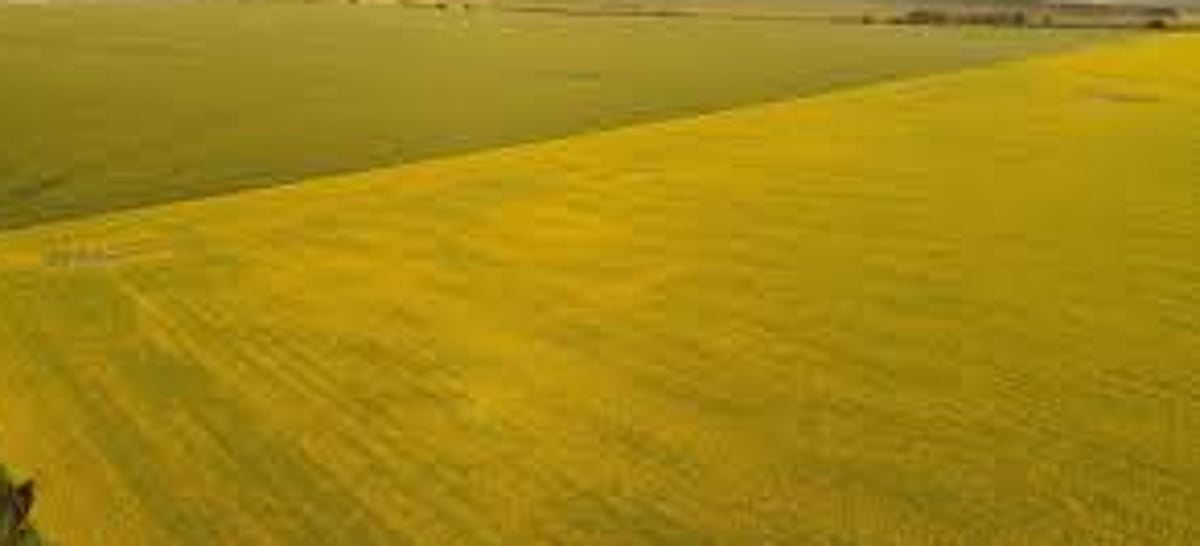 Govt to allot 60 plots at Tuem EMC