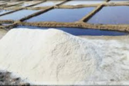 Govt to complete salt pan survey in 6 months, moots conservation policy