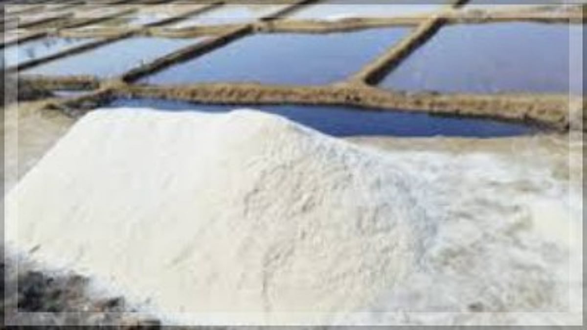 Govt to complete salt pan survey in 6 months, moots conservation policy