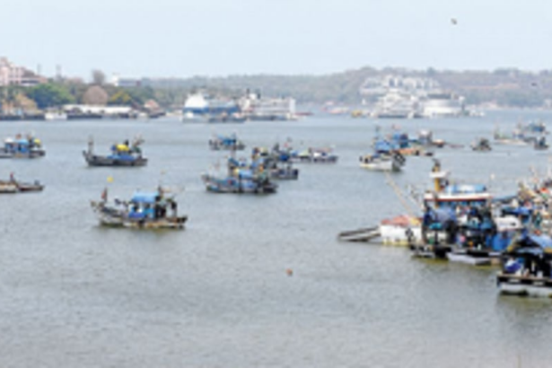 Govt to draft special SOP to monitor  fish-related activities across jetties