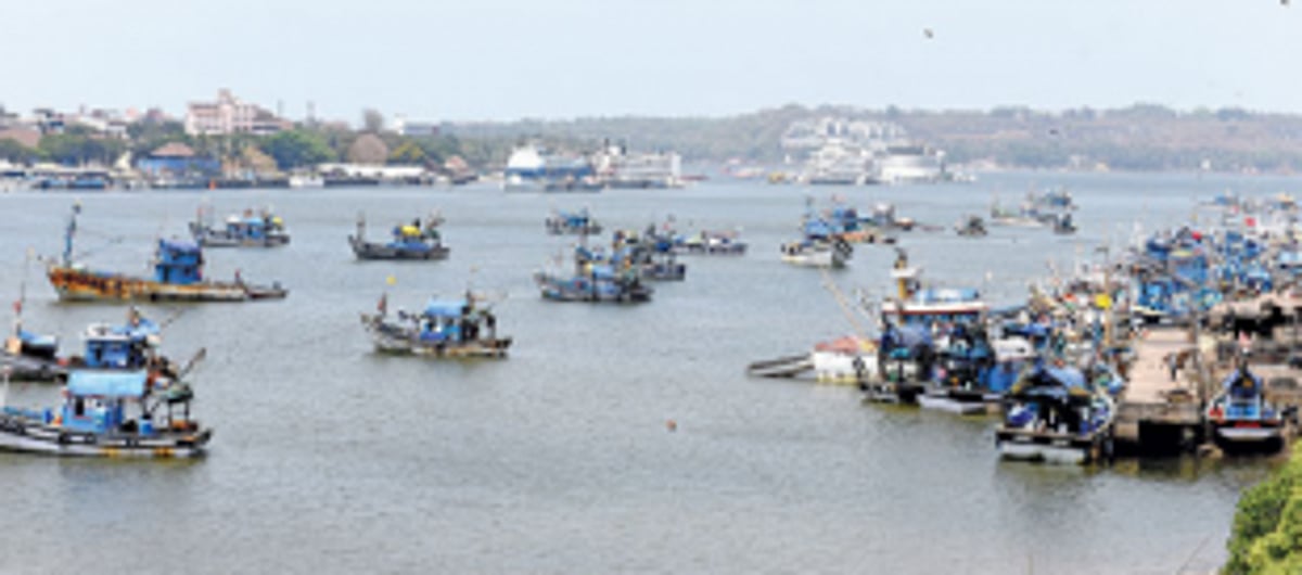Govt to draft special SOP to monitor  fish-related activities across jetties
