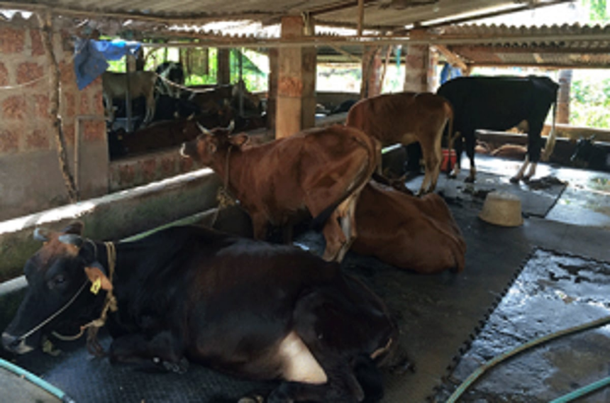 Govt to fulfill farmers demands: Minister