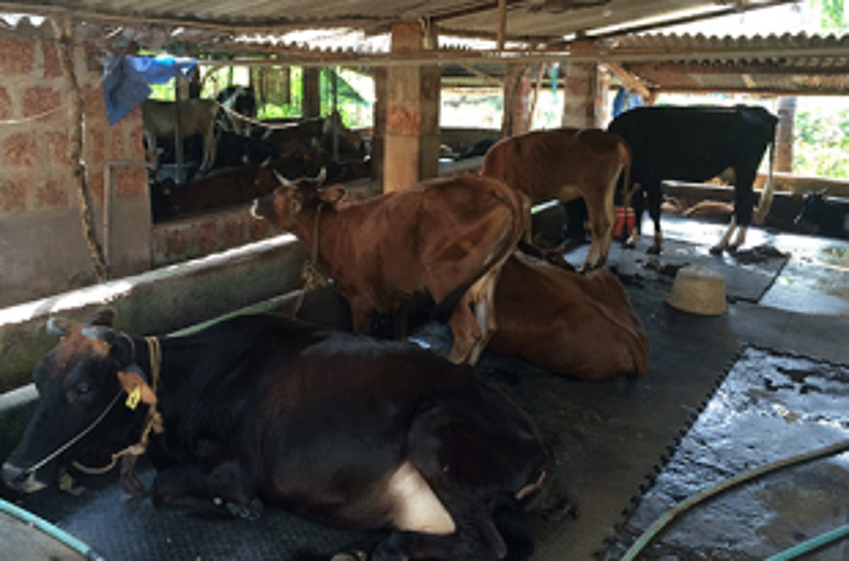 Govt to fulfill farmers demands: Minister