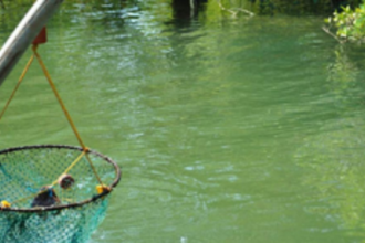 Govt to hold  6-month fisheries  training course