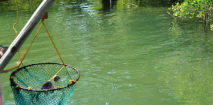 Govt to hold 6-month fisheries training course