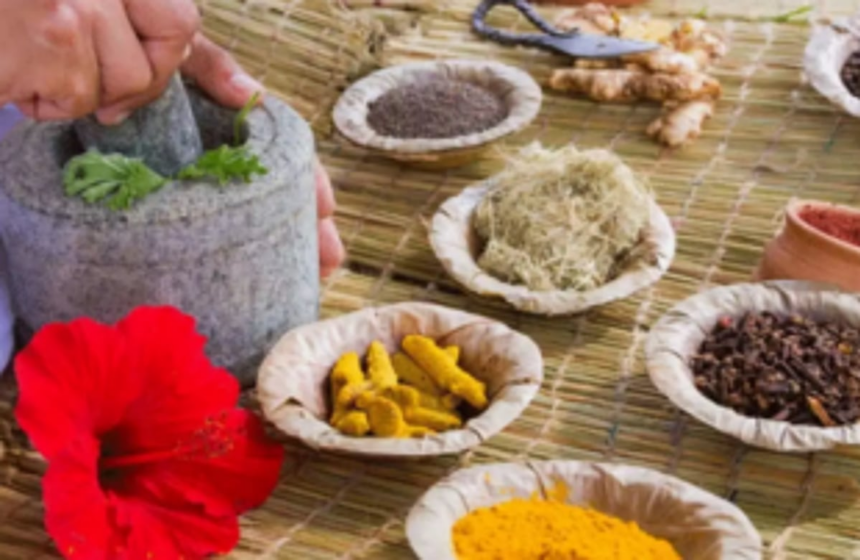 Govt to provide boost to Ayurveda 1 Govt to provide boost to Ayurveda