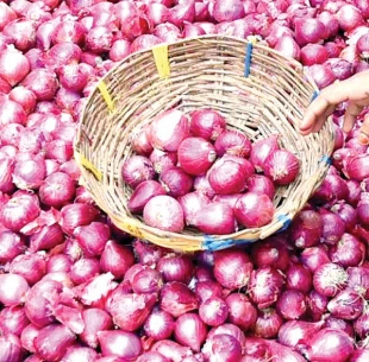 Govt to sell onions at Rs 32 per kg to ration card holders