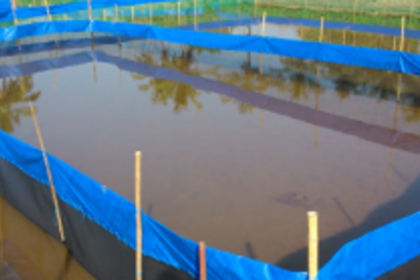 Govt to set up  fish hatchery   on PPP basis