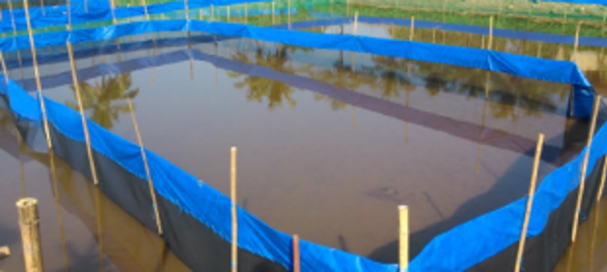 Govt to set up  fish hatchery   on PPP basis