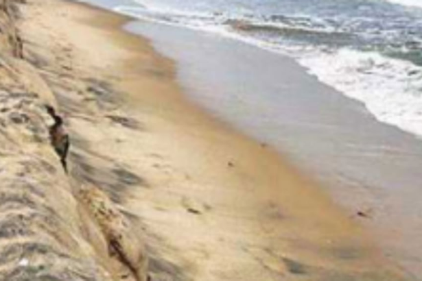 Govt to urge removal of port limits depiction from final Coastal Plan