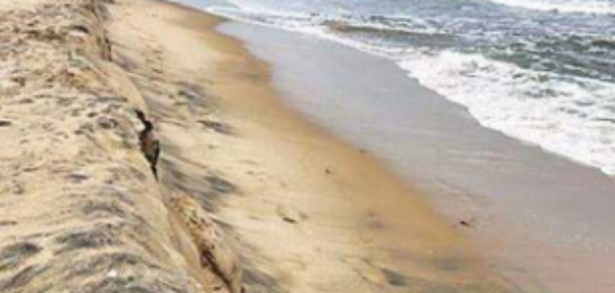 Govt to urge removal of port limits depiction from final Coastal Plan