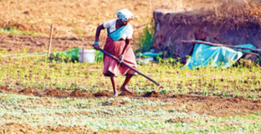 Govt urged to compensate affected Quepem farmers