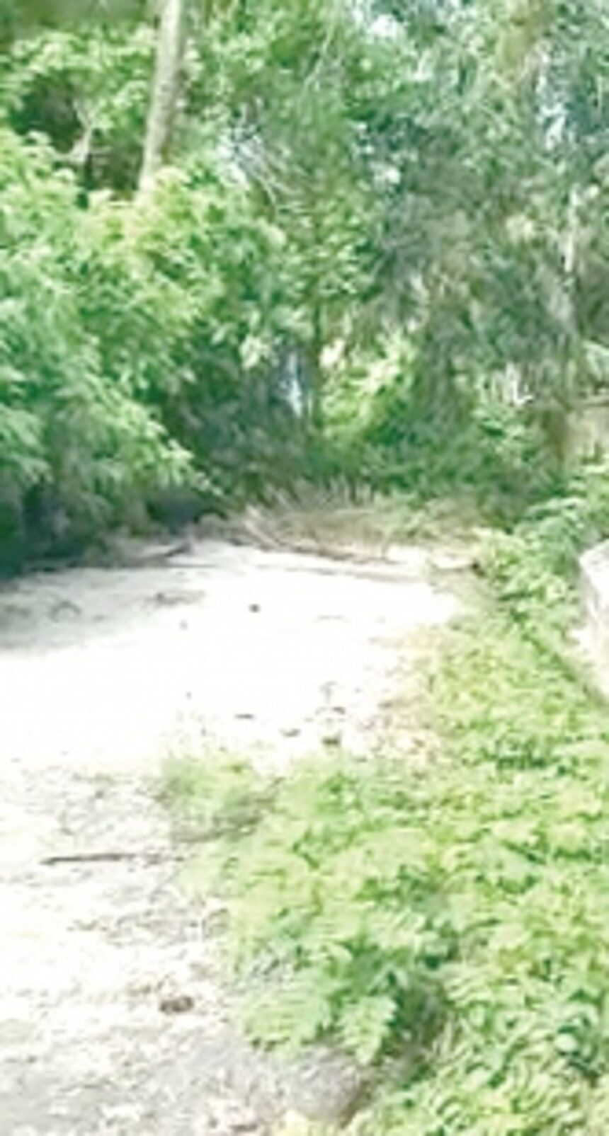 Govt urged to complete Gonsua-Betalbatim road 1 Govt urged to complete Gonsua-Betalbatim road
