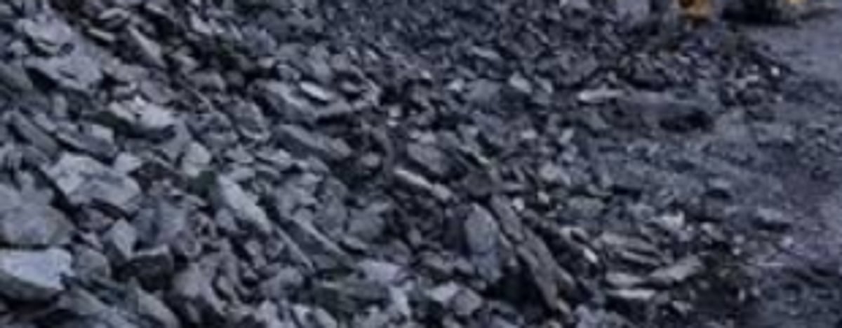 Govt urged to withdraw coal handling permissions at MPT