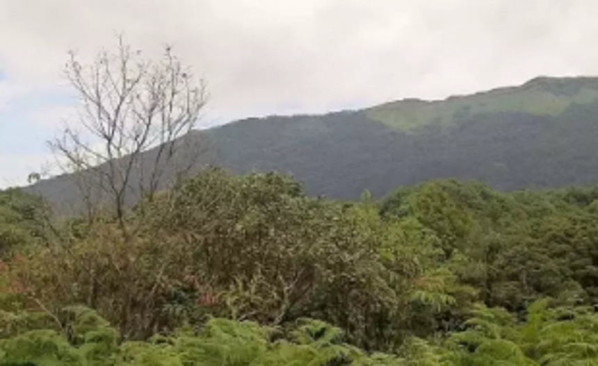Govt wants more time to dispose off forest right claims 1 Govt wants more time to dispose off forest right claims
