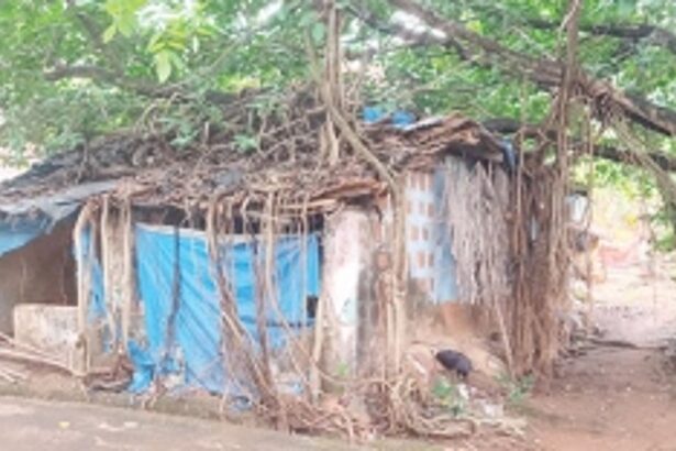 Govt will rebuild house of Mauzikar family: Health Min