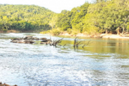 Gram sabhas across State up the ante against Mhadei diversion