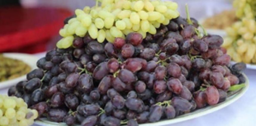 Grapes fest 1 Grapes fest