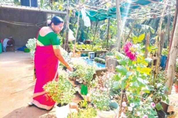 Green fingers that have produced a wealth of food
