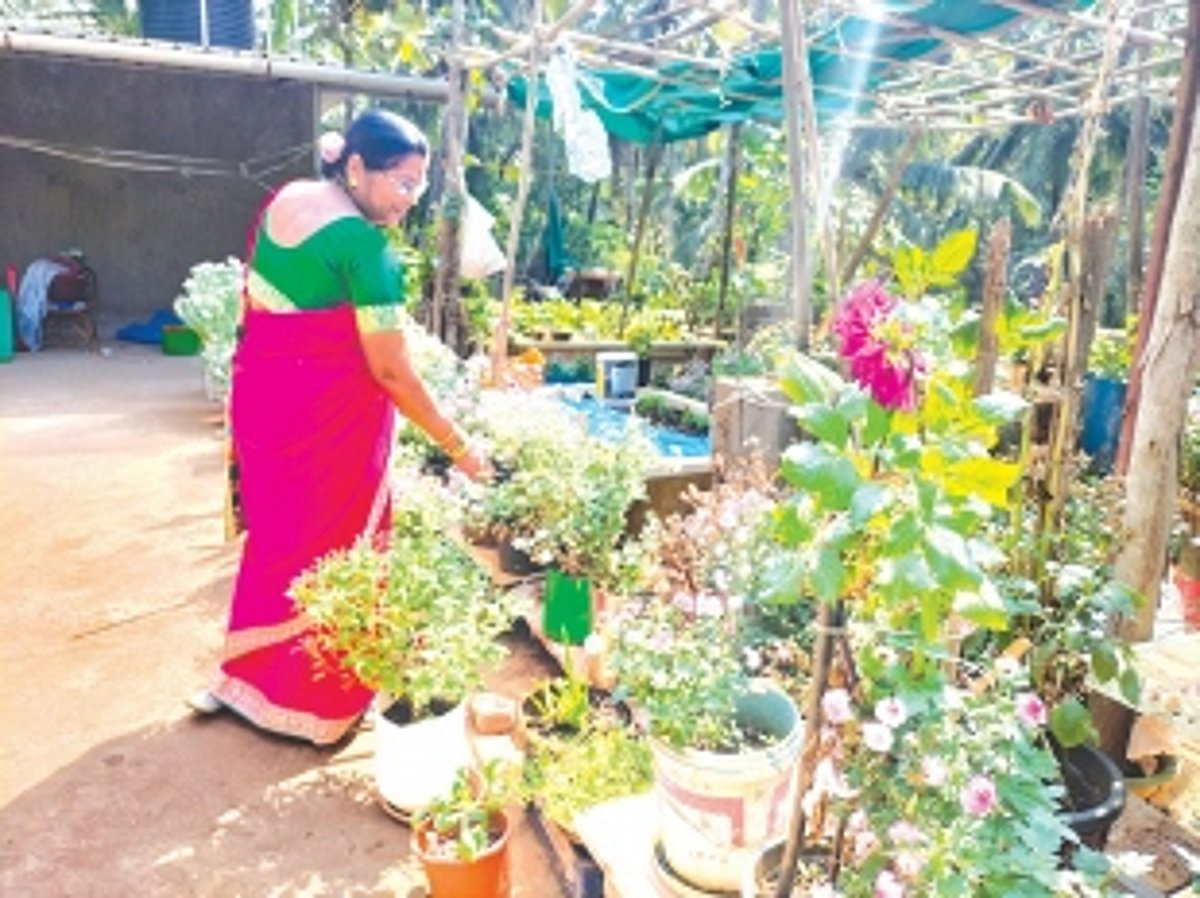 Green fingers that have produced a wealth of food