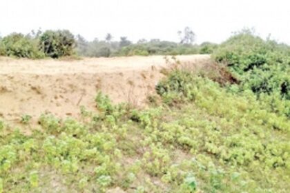 Greens feel the only option left is to challenge CZMP