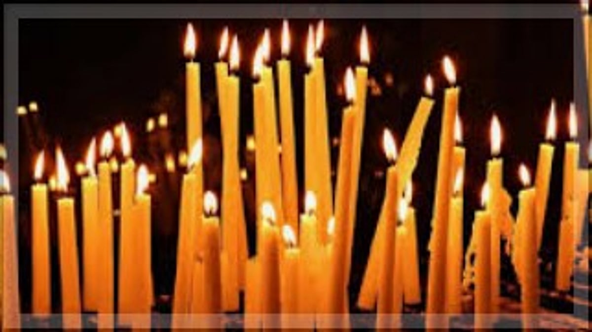Greens hold candle light protest against land destruction