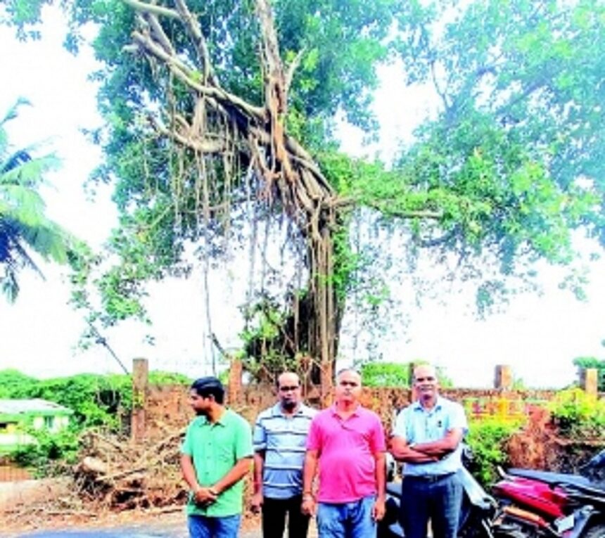 Greens in Ponda unite to thwart  illegal felling of banyan tree