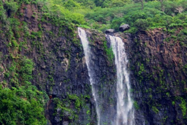 Greens oppose construction of Dunikhol Dam