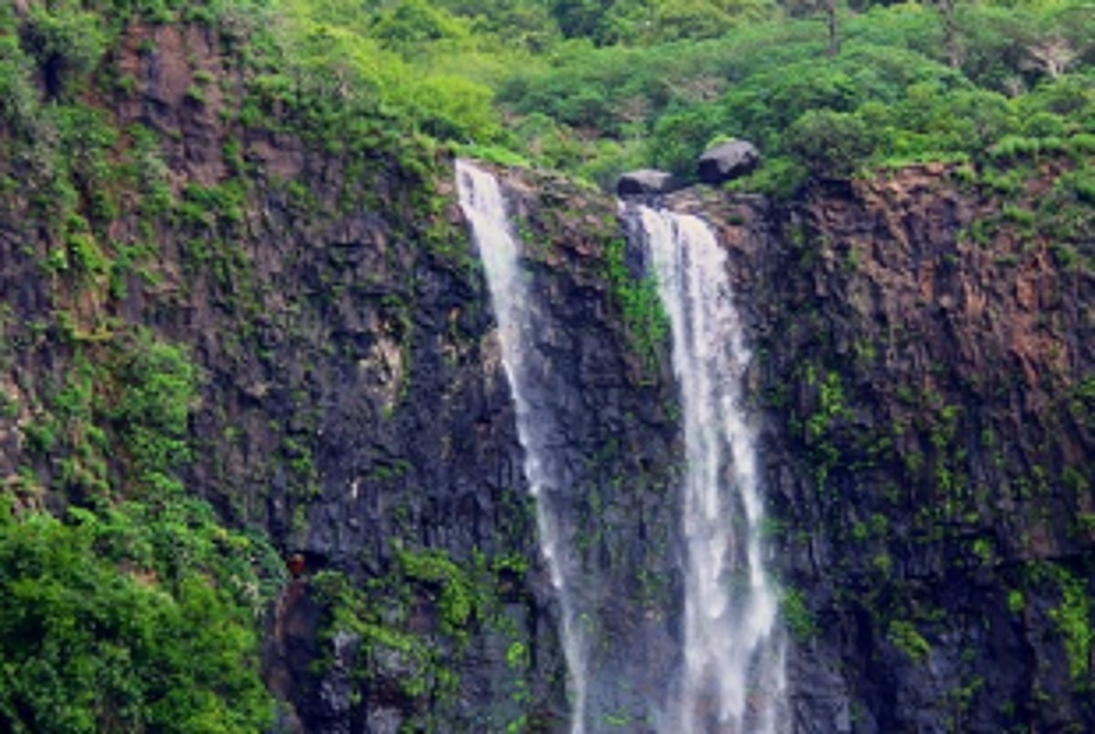 Greens oppose construction of Dunikhol Dam