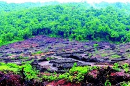 Greens slam Goa Wildlife board for  in-principle clearance to Tamnar project
